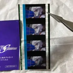 2025年最新】free! コマフィルムの人気アイテム - メルカリ