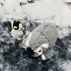 京都水族館 ペンギンふわふわぬいぐるみ. ぬいぐるみキーホルダー　2点セット