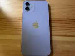 【箱付き】Apple iPhone12 128GB パープル iPhone 12 128 GB Mor Fiyatları, Özellikleri ve Yorumları | En