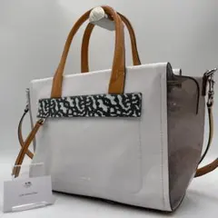 良品 COACH ショルダーバッグ レザー マルチカラー 2way 斜め掛け