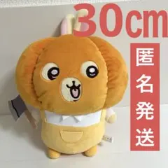 ちいかわ うさぎ カボチャBIGぬいぐるみ 1209