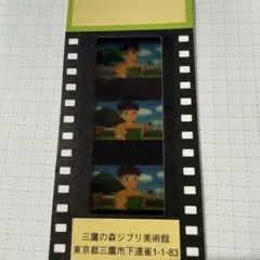 ✨希少 レア 極美品✨三鷹の森ジブリ美術館 となりのトトロ フィルムチケット レア）三鷹の森ジブリ美術館 チケット 崖の上のポニョ - メルカリ