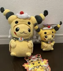 ぬいぐるみ メガデンリュウのポンチョを着たピカチュウ　ポケモンセンター メガデンリュウのポンチョを着たピカチュウ ぬいぐるみ ポケモン