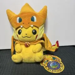 2025年最新】ぬいぐるみ ポケモンセンターメガトウキョー