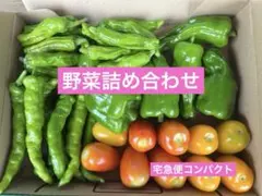 ☆新鮮　野菜詰め合わせセット　宅急便コンパクトサイズ