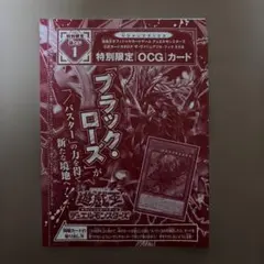 ブラック・ローズ・ドラゴン／バスター ザ・ヴァリュアブル・ブックEX6 匿名配送