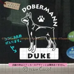 ドーベルマン No.3　名前入 カッティング　ステッカー ドッグインカー　シール
