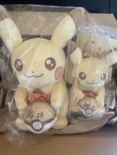 ポケモン30周年記念 ピカピカ！ピカチュウ ぬいぐるみ&マスコット
