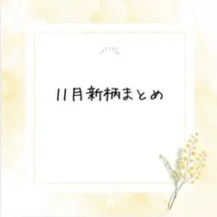 11月新柄1