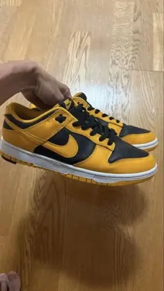 2026年最新】nike ダンクロー チャンピオンシップゴールドの人気