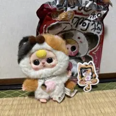 Babythree三毛猫ちゃん ニヤ目