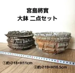 宮島將實 厳選一点モノ大鉢 二点セット 検)カタチ製作所 インビジブルインクのサムネイル