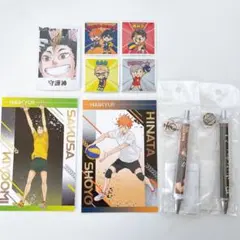 ハイキュー!! 日向翔陽 佐久早聖臣 宮治 ボールペン ポストカード アニメイト