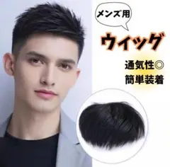 ウィッグ かつら 黒　メンズ 大好評