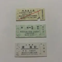 長野電鉄 硬券乗車券 特急券 入場券 鉄道 레트로 廃品 国鉄 JR 切符