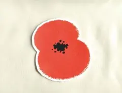 ラスト1つ❗️【単品】プレミアリーグ　ユニフォーム用ポピー パッチ（毎年共通）