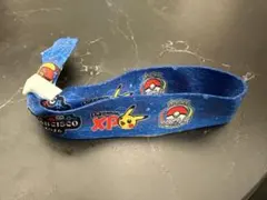 WCS2026 ポケモンXP リストストラップ Chase Arena - メルカリ