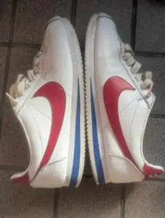 ナイキコルテッツ フォレストガンプ