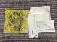 クロマニヨンズ　初回限定アルバムまとめ売り MOUNTAIN BANANA【初回限定仕様】・ｻﾞ・ｸﾛﾏﾆﾖﾝｽﾞ | Sony Music Shop