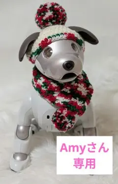Amyさん専用☆
