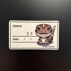 Item thumbnail for item 60138dd1-bbe8-4f08-9ae0-5738b32a111a