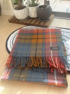 Item thumbnail for item 04f378f7-21a9-48e0-8b1a-d2bb268e454c