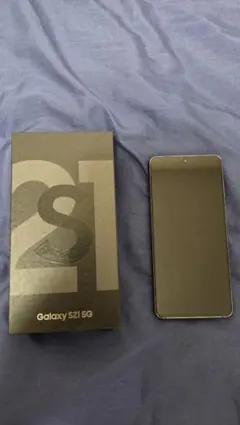 Samsung Galaxy S21 5G 本体
