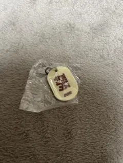 2025年最新】アルステイク キーホルダーの人気アイテム - メルカリ