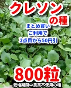 クレソン 7,5kg 岡山県 伏流水 新鮮 採れたて クレソン 350g 岡山県 伏流水 新鮮 採れたて - メルカリ