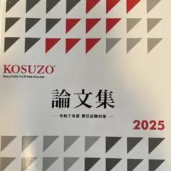 2025年最新】kosuzo 2025の人気アイテム - メルカリ