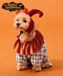 スリーコインズ　ピエロセット　ハロウィン