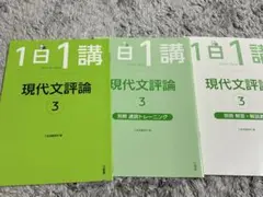 1日一講　現代文評論　3