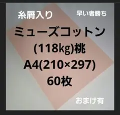 Item thumbnail for item 5f3ea51d-b7be-4ca9-a7d4-450b18b7479a