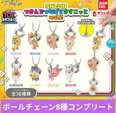SKZOO つまんでつなげてますこっと vol.2　ボールチェーン8種