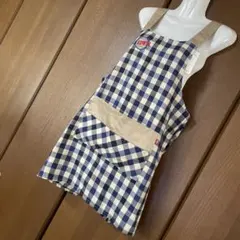 Item thumbnail for item 07c53f1b-2e42-4668-90bc-59616c8c4357