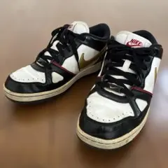 ナイキ エアプライズ2 26.0