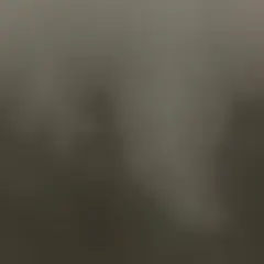 キム様