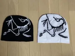 早いもの勝ち　ビーニー 帽子 y2k 海外ストリート ニット帽2点セット