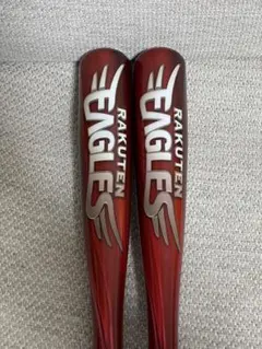 Item thumbnail for item e988b859-3f50-4042-aac9-df5aafd01c50