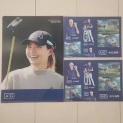 AIG 渋野日向子クリアファイル A4サイズステッカー2点