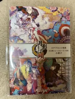 月影の鎖 ~錯乱パラノイア~ ステラワース SS小冊子 スイッチ Switch