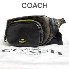 【美品】COACH コーチ ショルダーバッグ レザー シグネチャー バイカラー