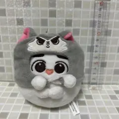 exo ぬいぐるみ ギョンス EXO D.O. ディオ ギョンス ペンギン10cm ぬいぐるみ セット