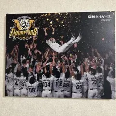阪神タイガース 優勝記念 メタリック 写真フレーム - メルカリ