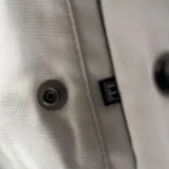 burtle