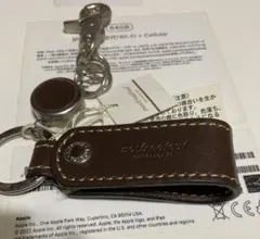 Item thumbnail for item ea7797cc-e9a1-4a95-a18b-a9bb1b9b7c75