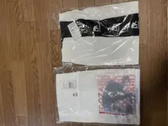 Item thumbnail for item cda1d8ce-2065-43aa-b531-523a2ee89d1f