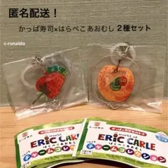 ２種セット はらぺこあおむし かっぱ寿司 ガチャ エリック・カール めじるし