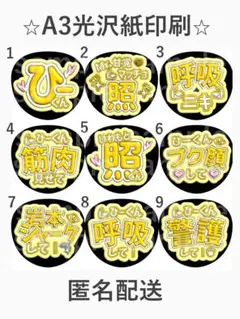 こたちゃん様 リクエスト 2点 まとめ商品