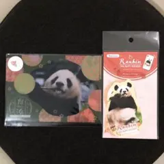 良浜 クリアファイル ステッカー セット24才 誕生日 アドベンチャーワールド